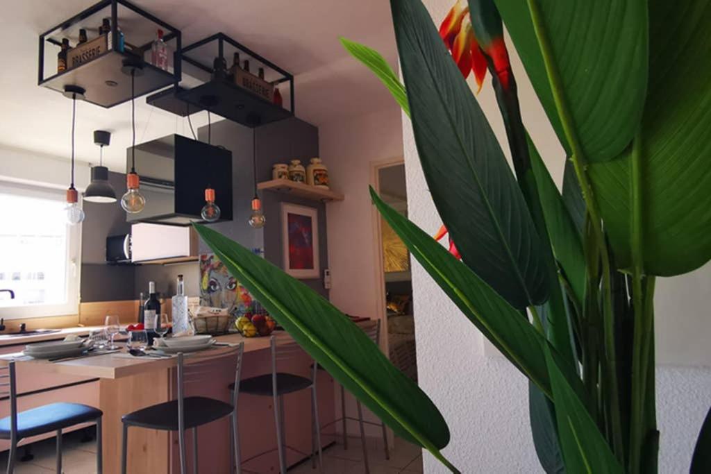 פרפיניין Appartement Premium, Proche Faculte & Centre Ville Ideal Digital Nomad מראה חיצוני תמונה